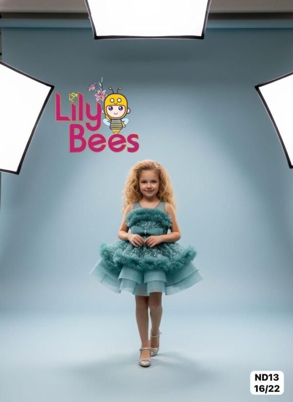 Belle Étoile Luxury Dress