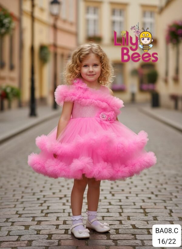 Belle Étoile Luxury Dress